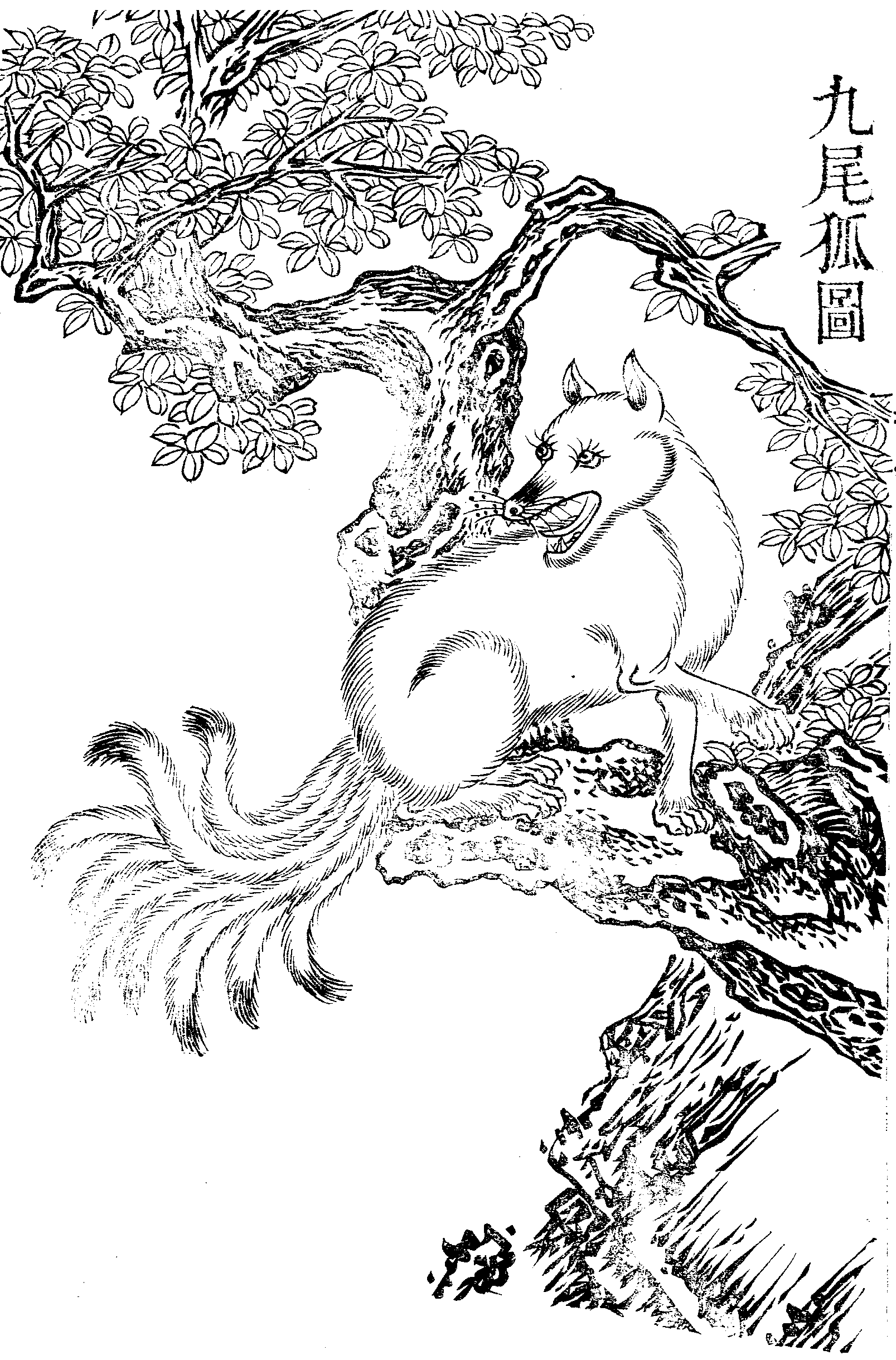 九尾狐 的公版古图